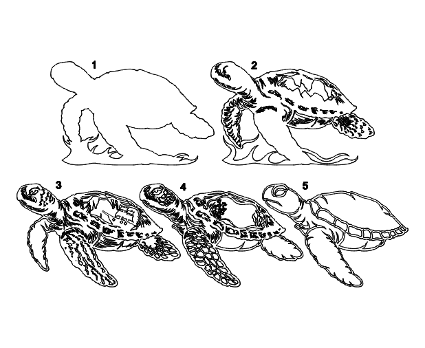 Layered Sea Turtle Ocean Scene