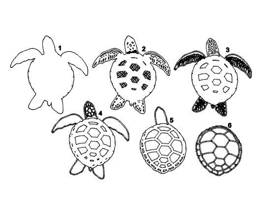 Layered Turtle