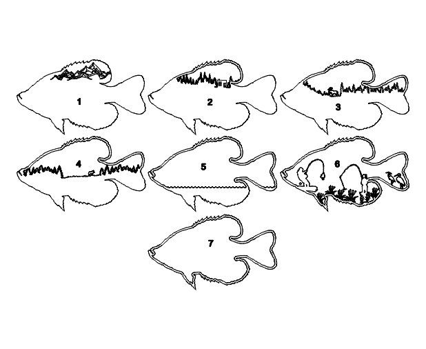 Layered Crappie Frame Design