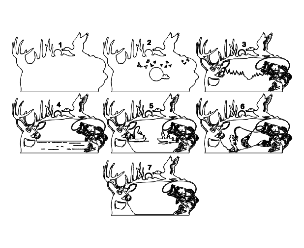 Layered Deer, Bass, Duck Frame Design