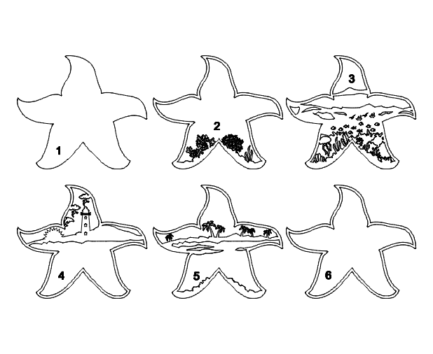 Layered Starfish