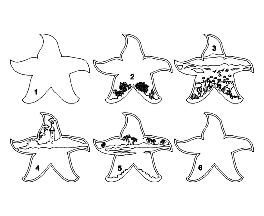Layered Starfish