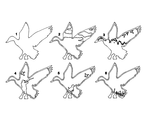 Layered Duck Hunting Frame Design
